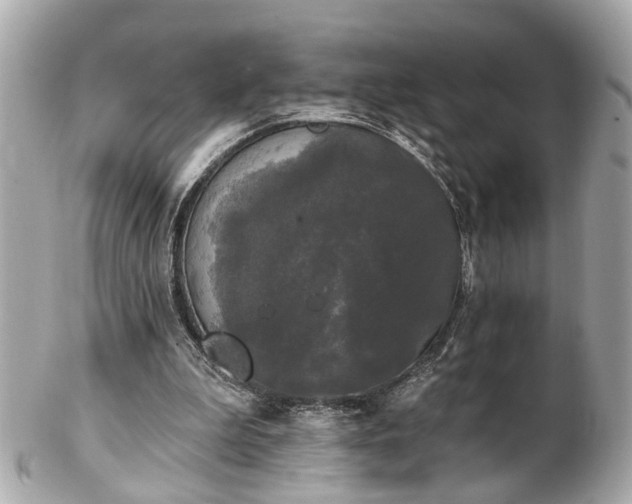 X0000102490199200808151504