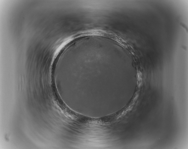 X0000102490200200808151504