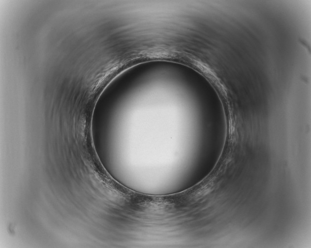 X0000102490201200808151504