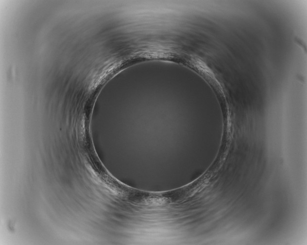 X0000102490202200808151504