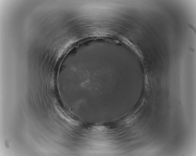 X0000102490203200808151504