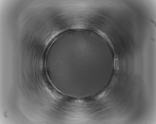 X0000102490204200808151504