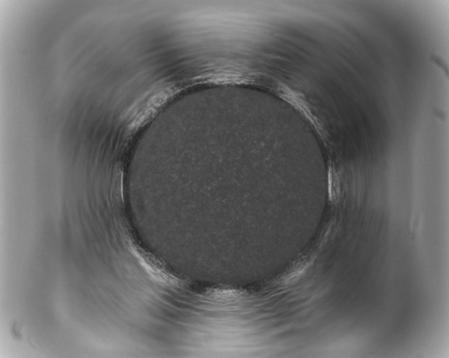 X0000102490205200808151504