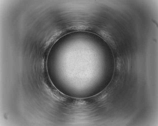 X0000102490206200808151504