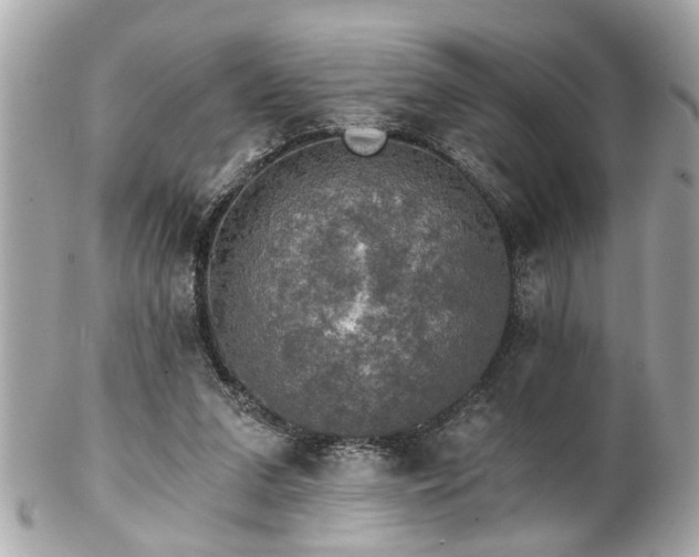 X0000102490207200808151504