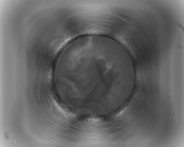 X0000102490208200808151504