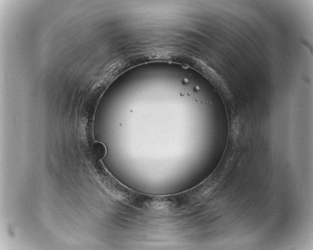 X0000102490209200808151504