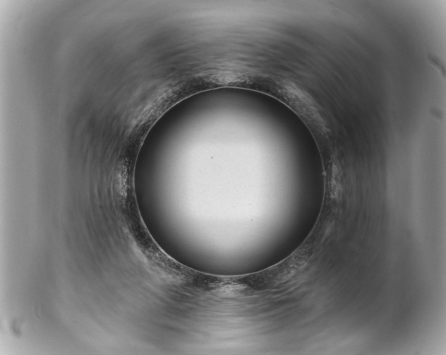 X0000102490210200808151504