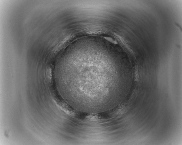 X0000102490211200808151504