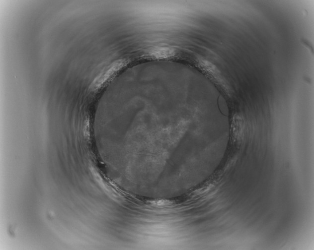 X0000102490212200808151504