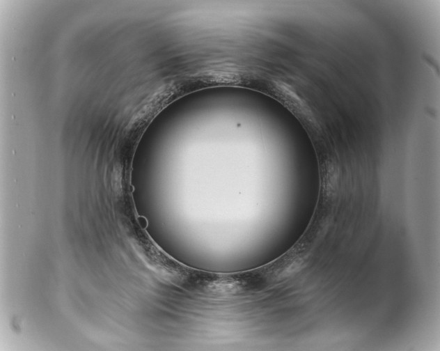 X0000102490213200808151504