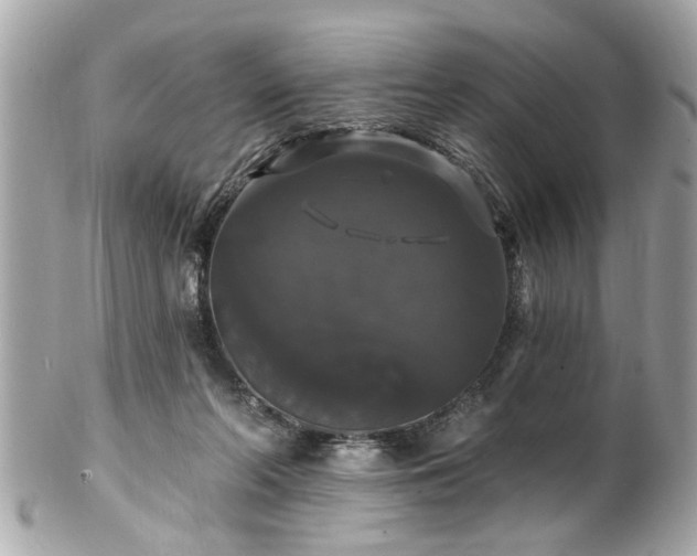 X0000102490214200808151504