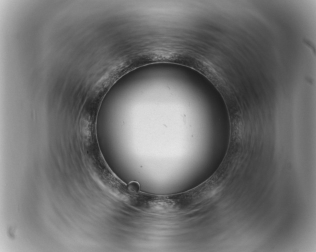 X0000102490215200808151504