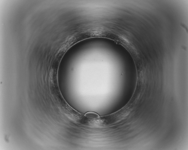 X0000102490217200808151504