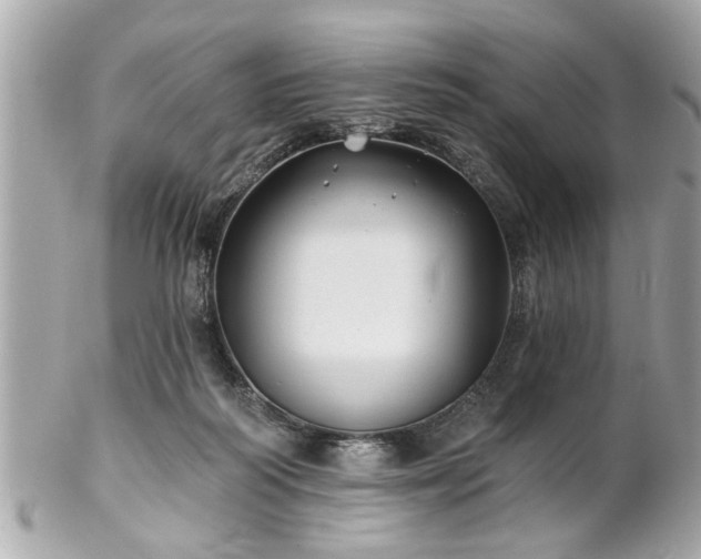 X0000102490218200808151504