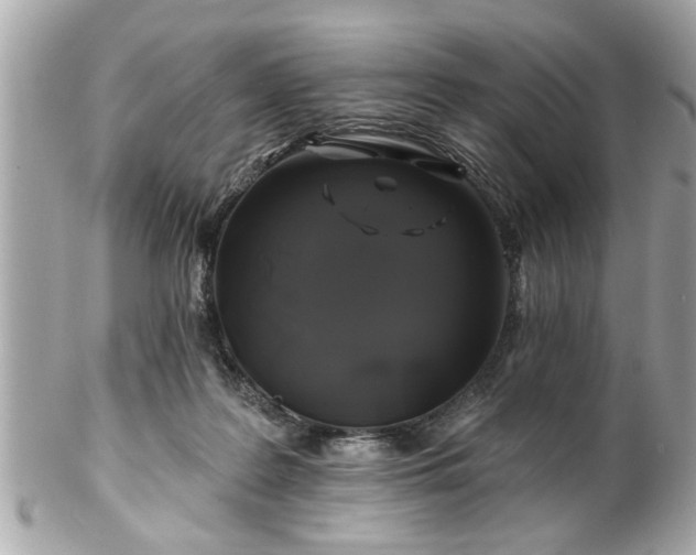 X0000102490219200808151504