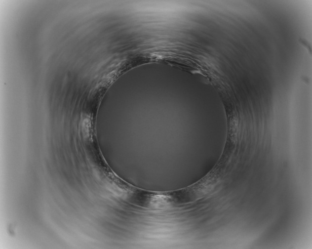 X0000102490222200808151504