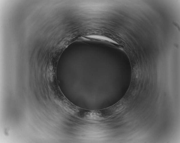 X0000102490223200808151504