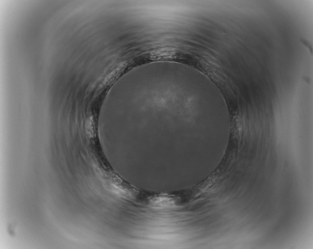 X0000102490224200808151504