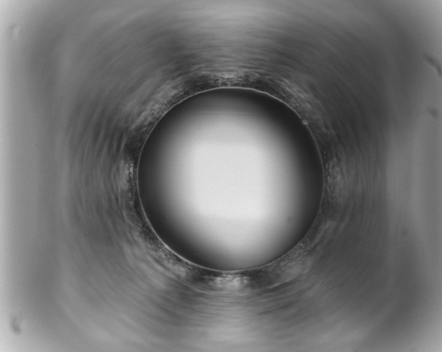 X0000102490225200808151504