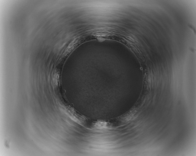 X0000102490227200808151504