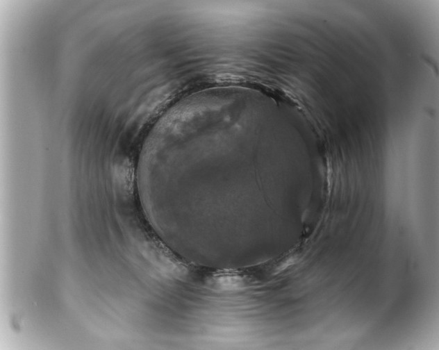 X0000102490228200808151504