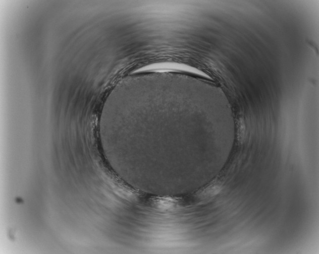 X0000102490229200808151504