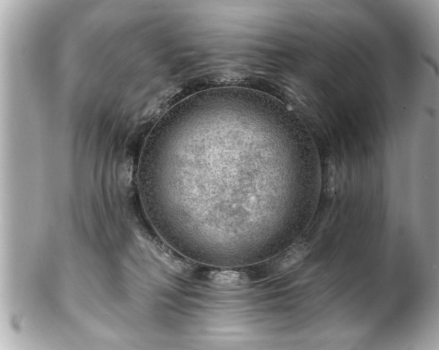 X0000102490230200808151504