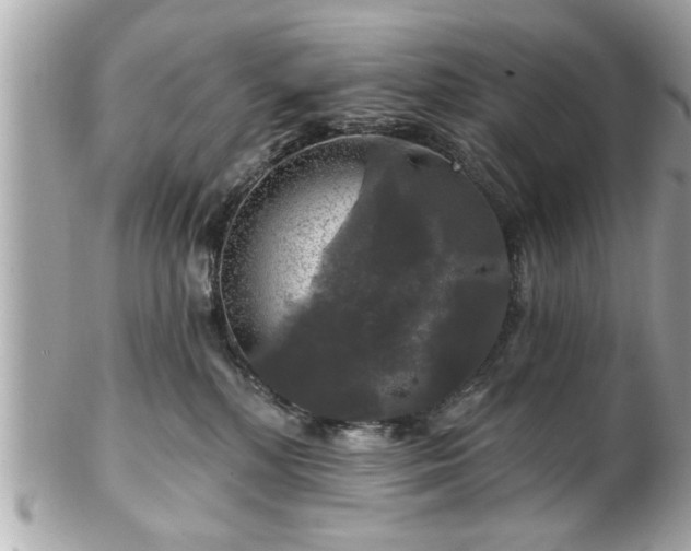 X0000102490232200808151504