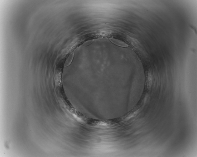 X0000102490236200808151504