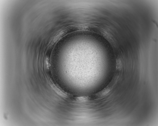 X0000102490238200808151504