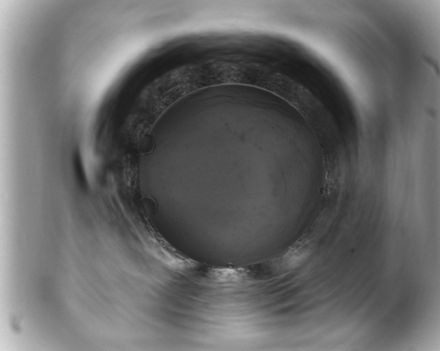 X0000102490239200808151504