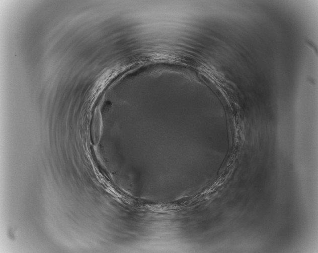 X0000102490241200808151503