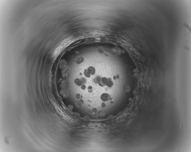 X0000102490242200808151503