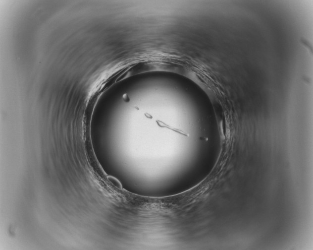 X0000102490244200808151503