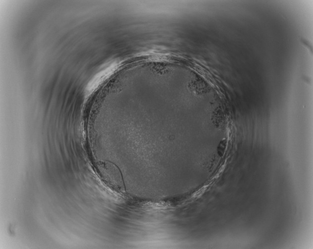 X0000102490245200808151503