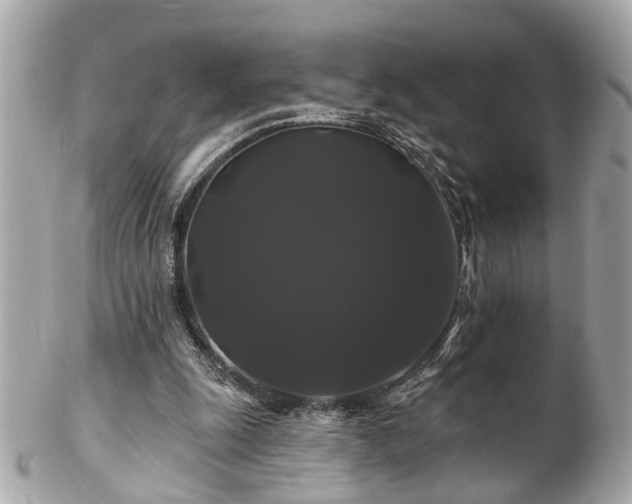 X0000102490247200808151503