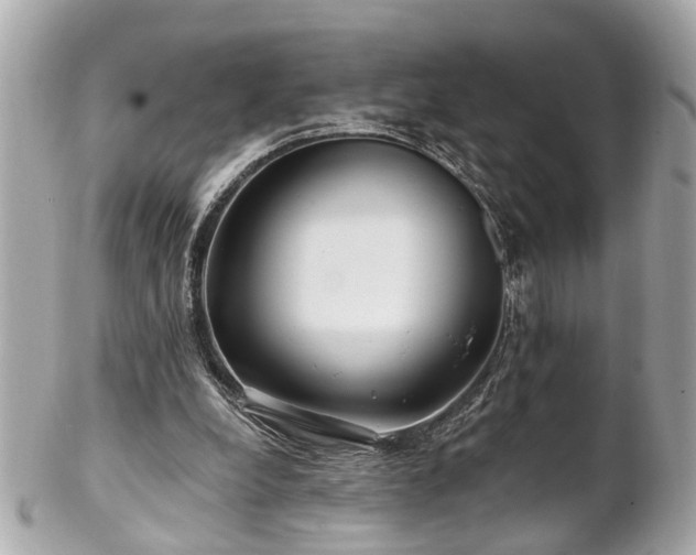 X0000102490248200808151503