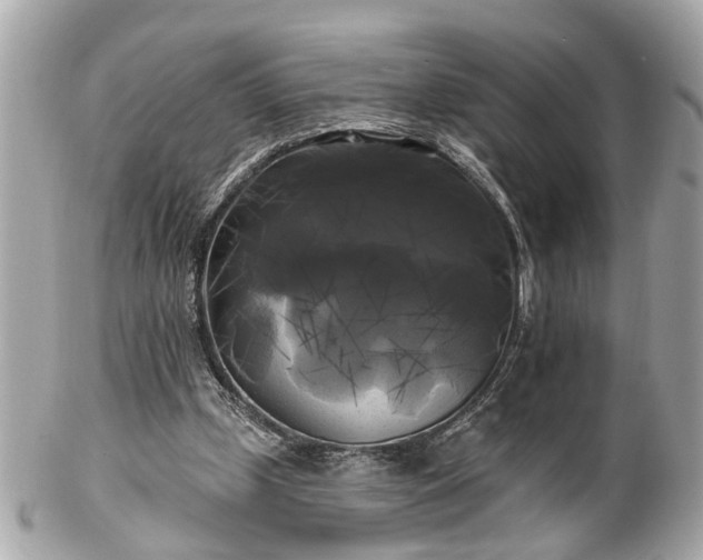X0000102490249200808151503