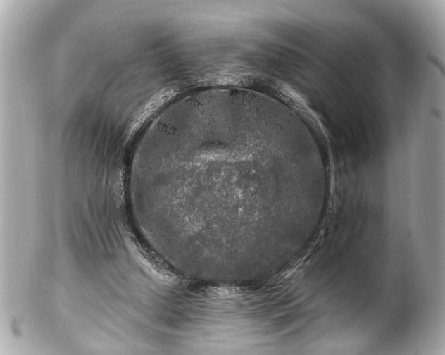 X0000102490250200808151503