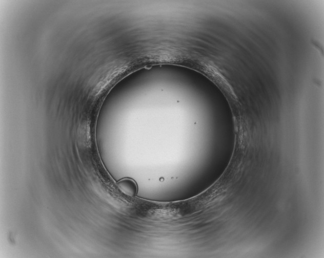 X0000102490251200808151503