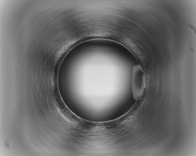 X0000102490252200808151503