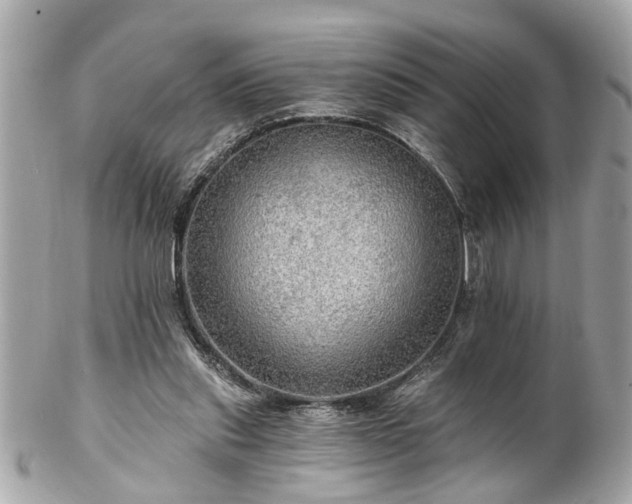 X0000102490253200808151503