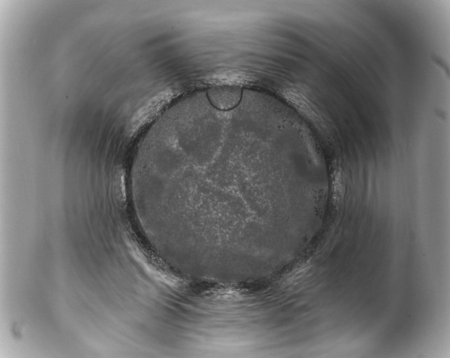 X0000102490254200808151503