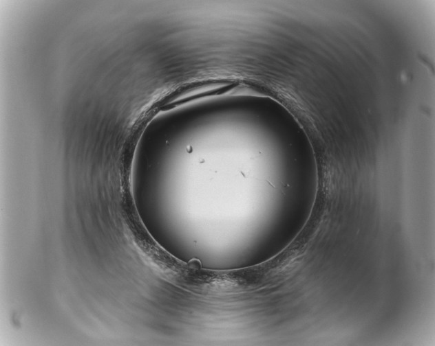 X0000102490256200808151503