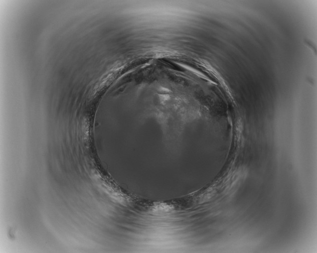 X0000102490257200808151503