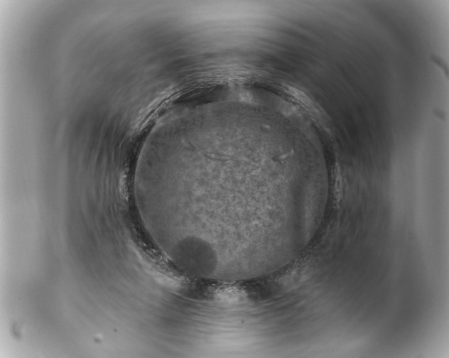 X0000102490258200808151503