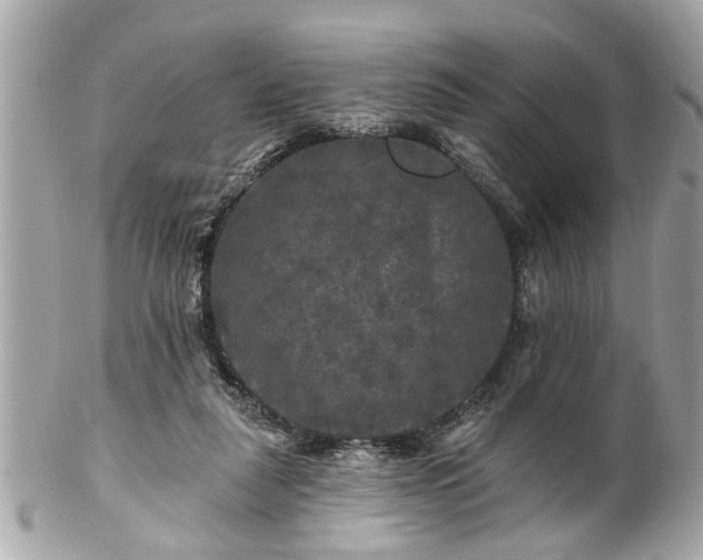 X0000102490259200808151503