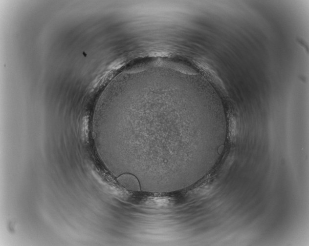 X0000102490260200808151503