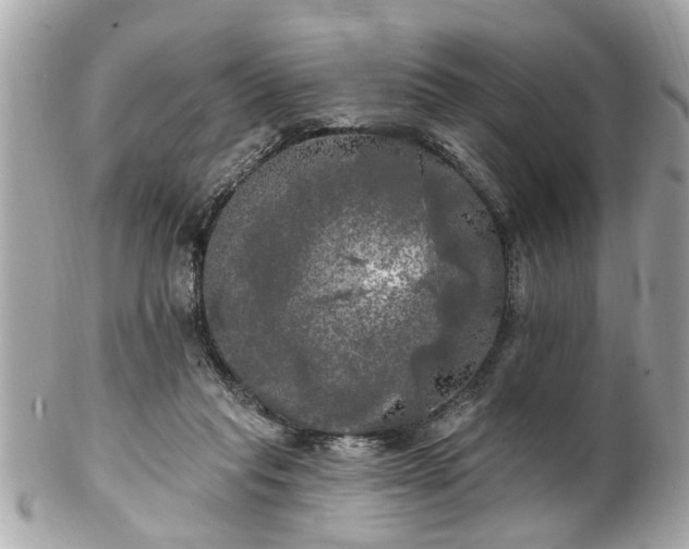 X0000102490261200808151503